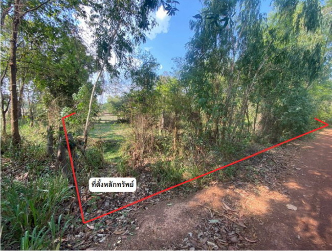 ที่ดินเปล่า นครพนม นาแก นาคู่ 240120