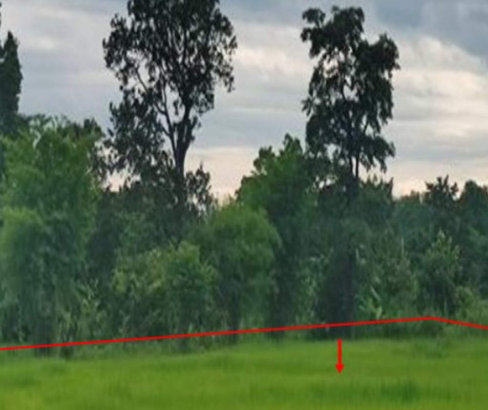 ที่ดินเปล่า นครพนม เมืองนครพนม บ้านผึ้ง 113750