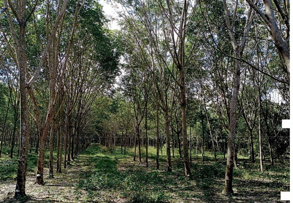 บ้านเดี่ยว ลำปาง เมืองลำปาง บ้านค่า 617680