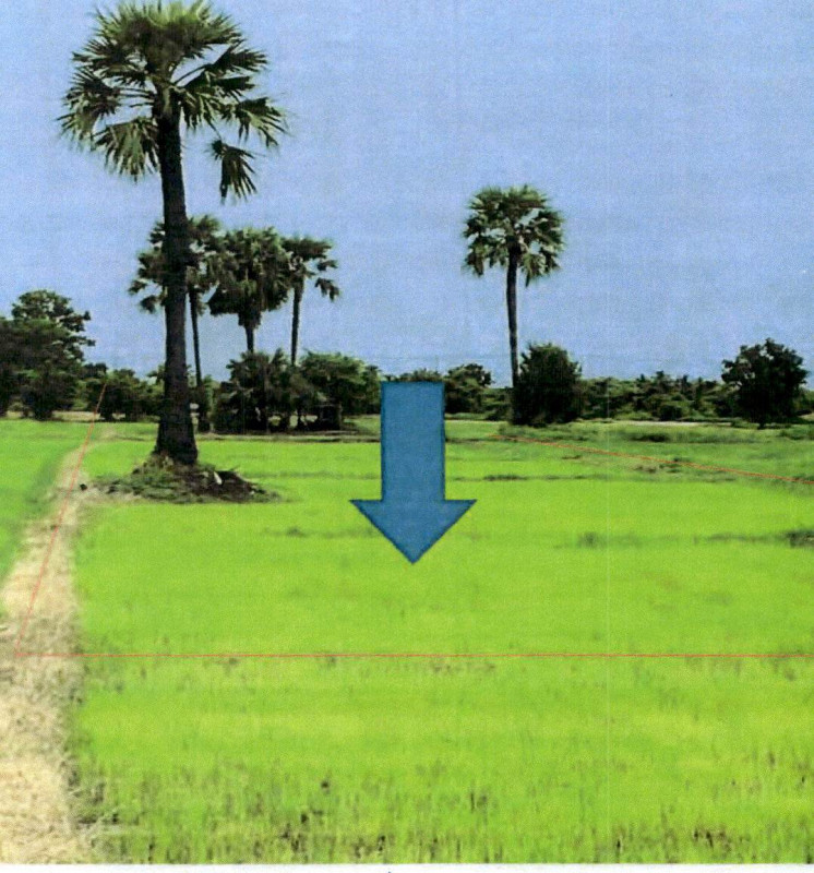 Residential land/lot Lampang Mae Tha Mae Tha 214700