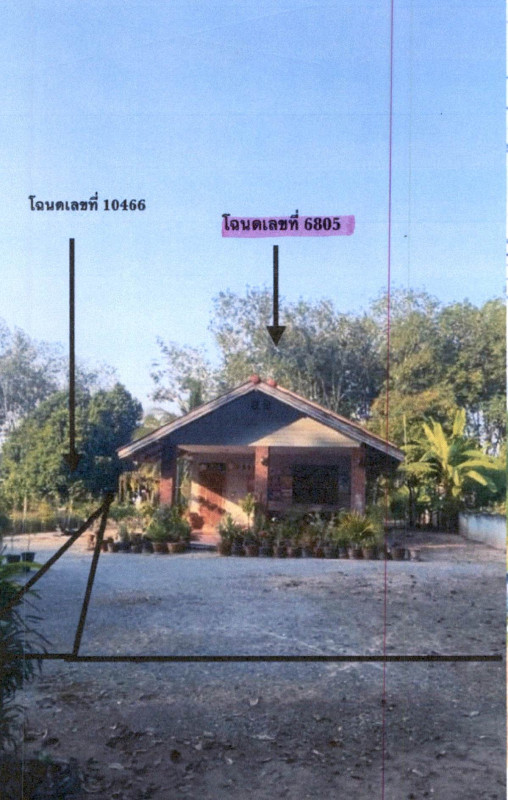 บ้านเดี่ยว สุราษฎร์ธานี บ้านนาเดิม ทรัพย์ทวี 634950