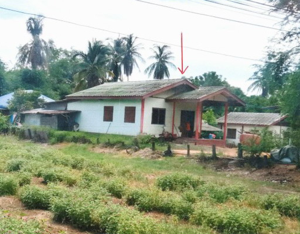 บ้านเดี่ยว พิจิตร ตะพานหิน ห้วยเกตุ 617280