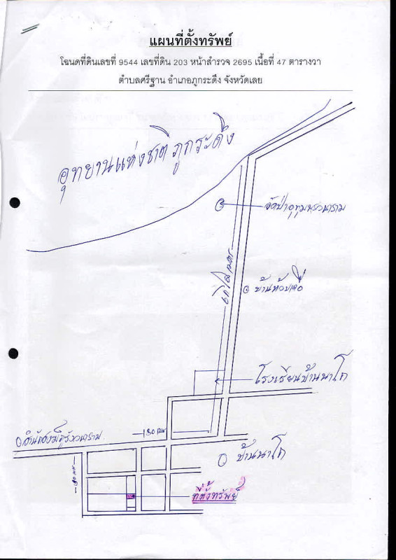 ทาวน์เฮ้าส์ เลย ภูกระดึง ศรีฐาน 260870