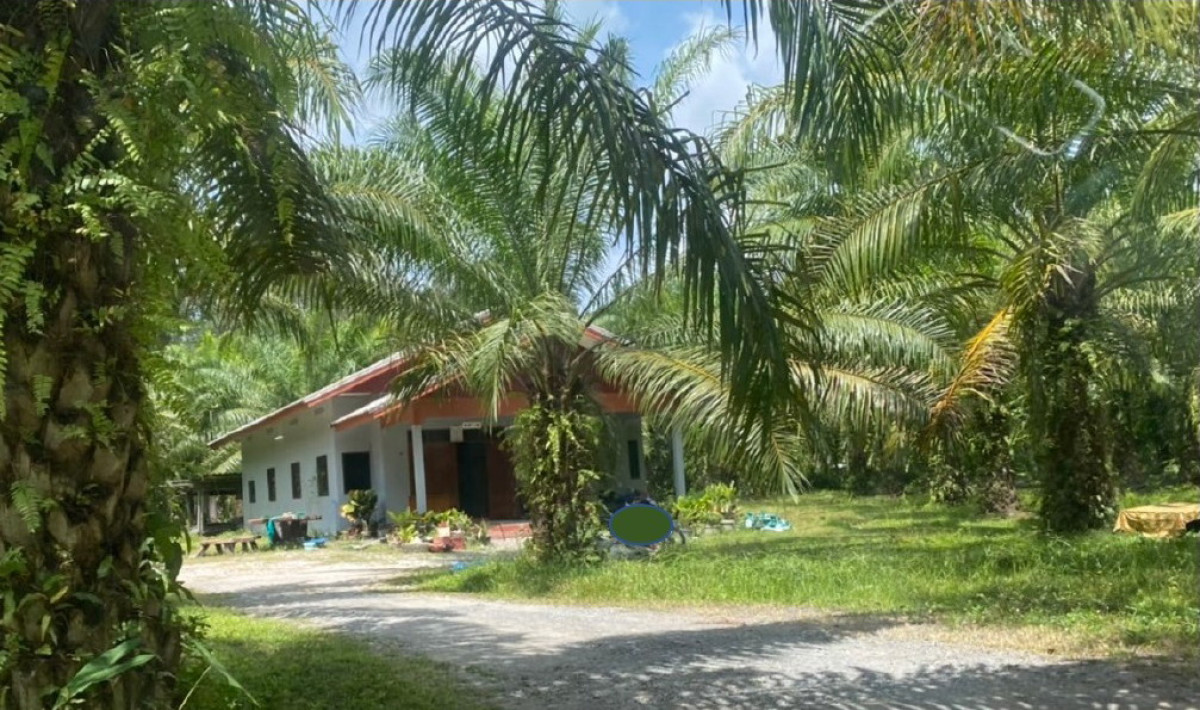 บ้านเดี่ยว นครศรีธรรมราช เชียรใหญ่ แม่เจ้าอยู่หัว 1396078