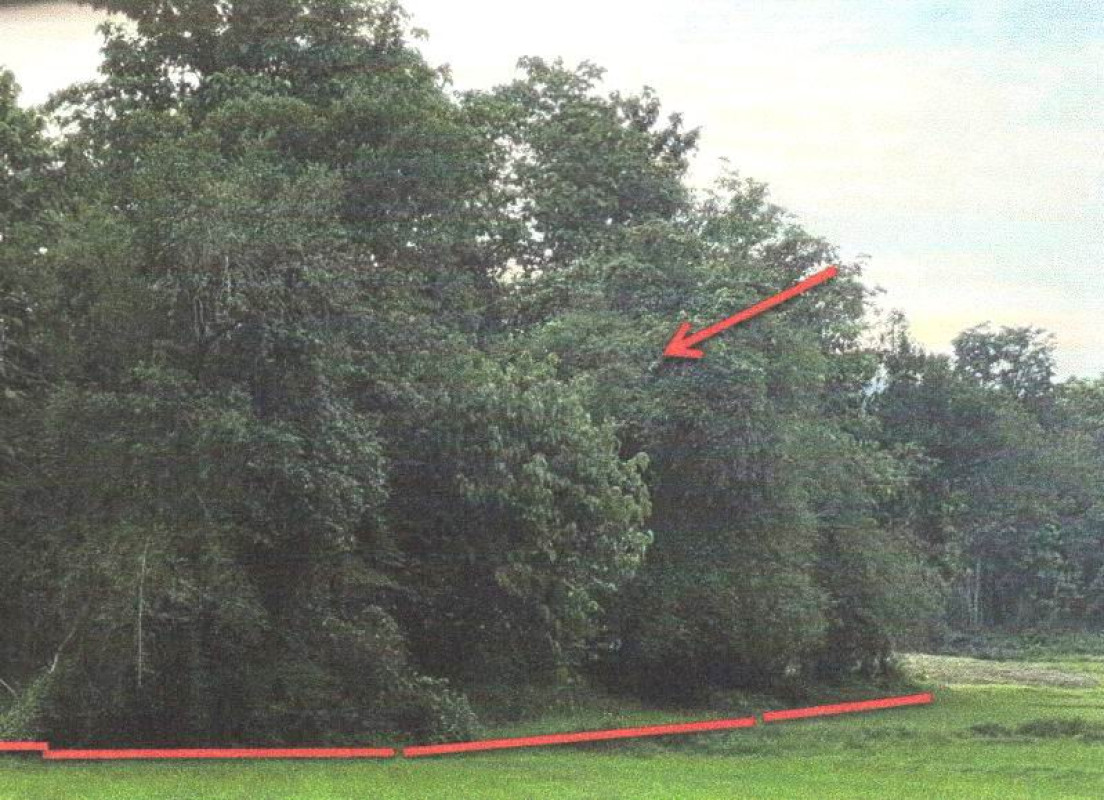 ที่ดินเปล่า แพร่ ลอง บ้านปิน 65100