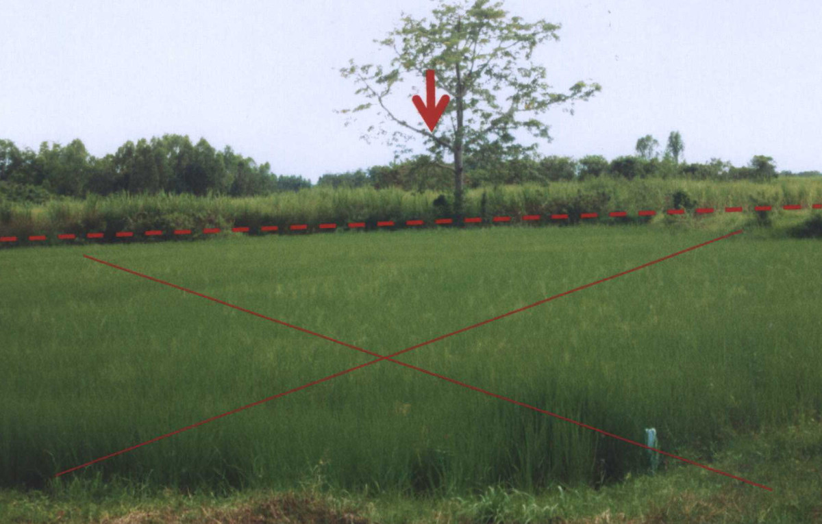 ที่ดินเปล่า นครราชสีมา ด่านขุนทด หินดาด 330480