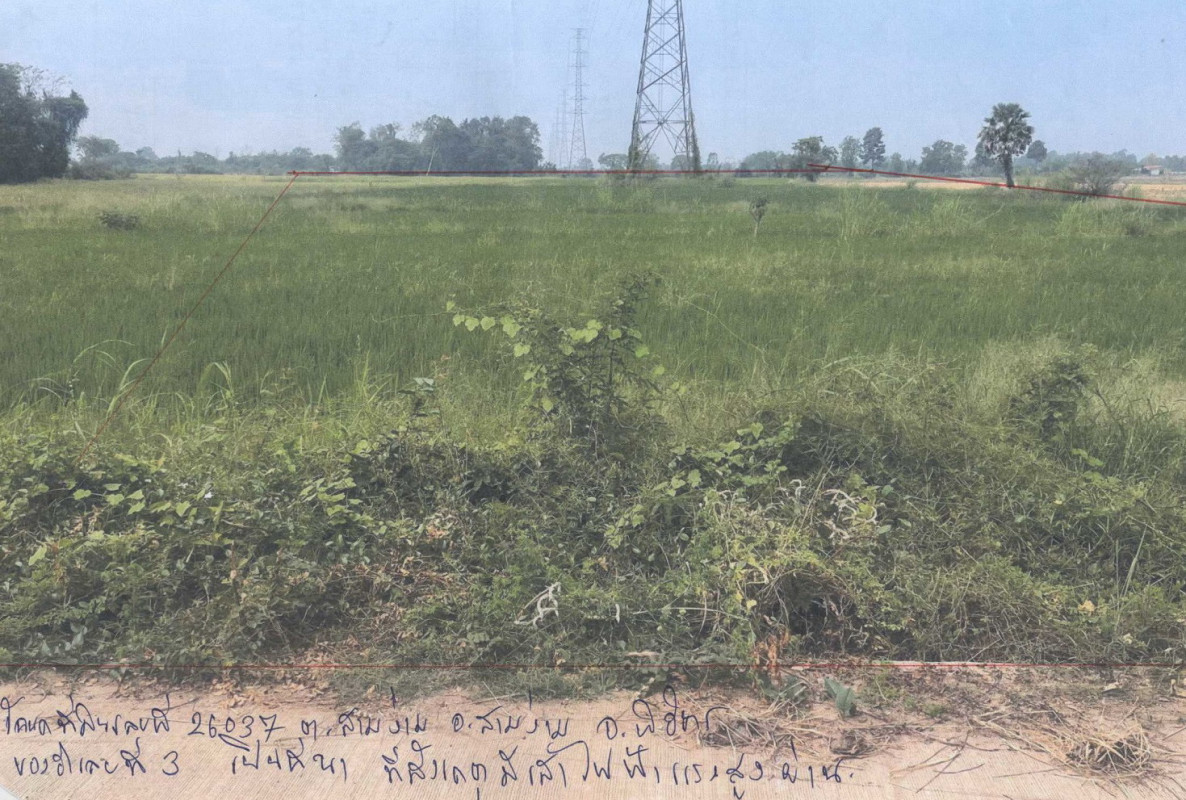 ที่ดินเปล่า พิจิตร สามง่าม สามง่าม 125700