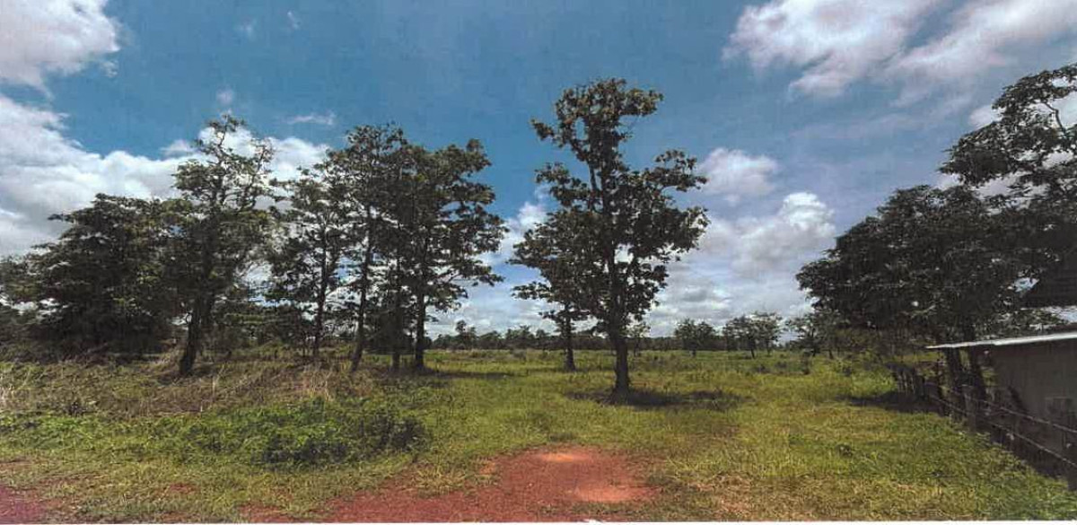 ที่ดินเปล่า สกลนคร โพนนาแก้ว นาตงวัฒนา 420420