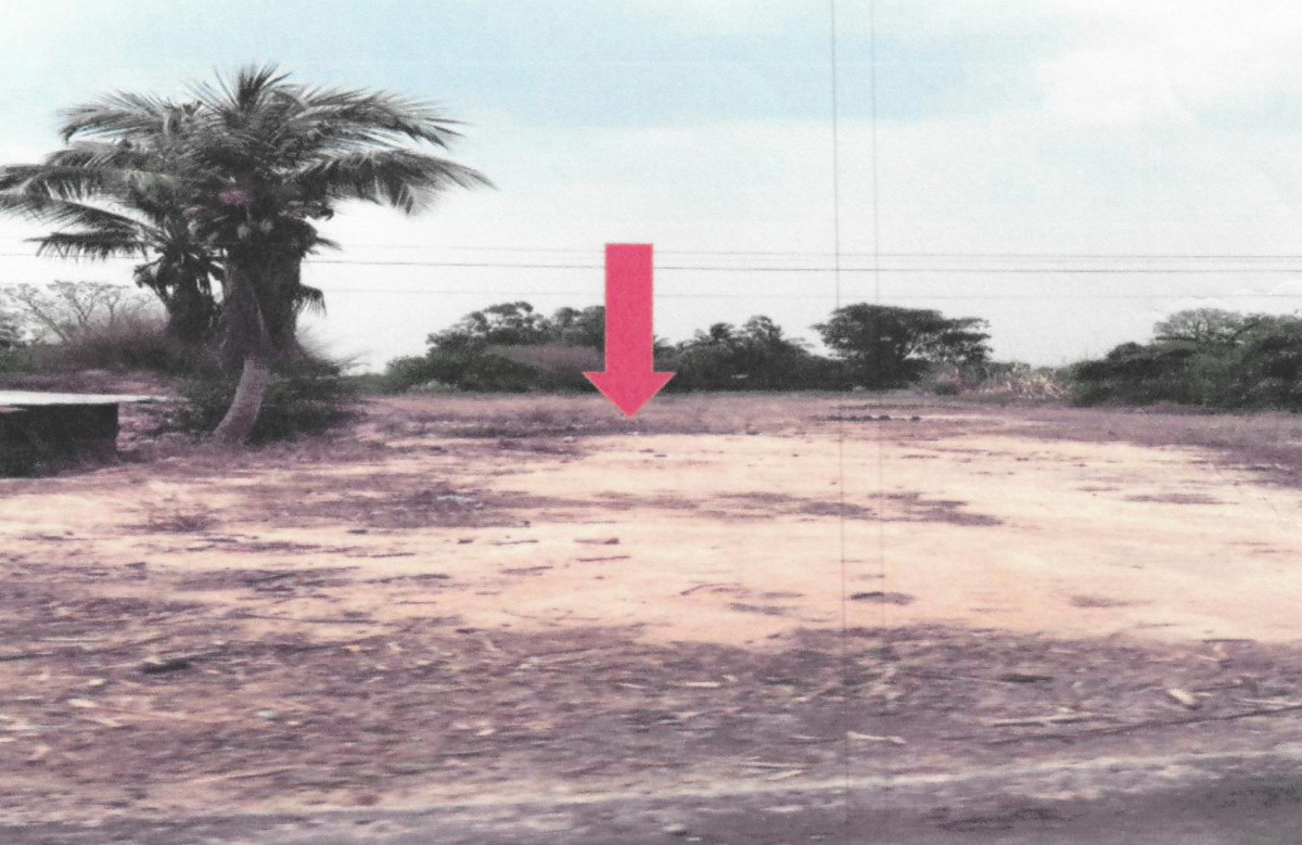 ที่ดินเปล่า ชัยนาท วัดสิงห์ หนองขุ่น 264660