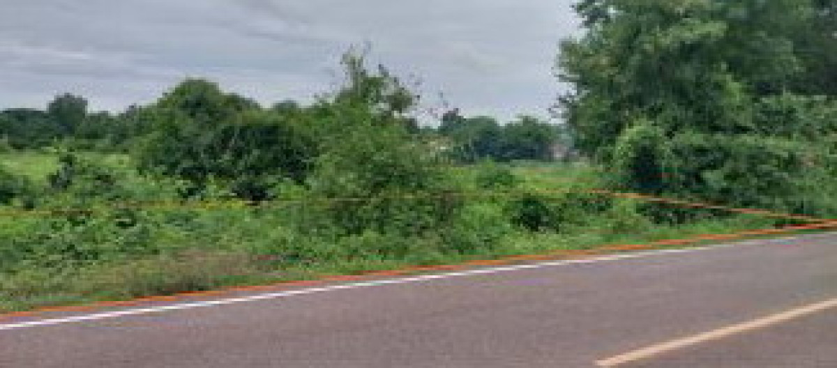 ที่ดินเปล่า นครราชสีมา โนนไทย มะค่า 79000