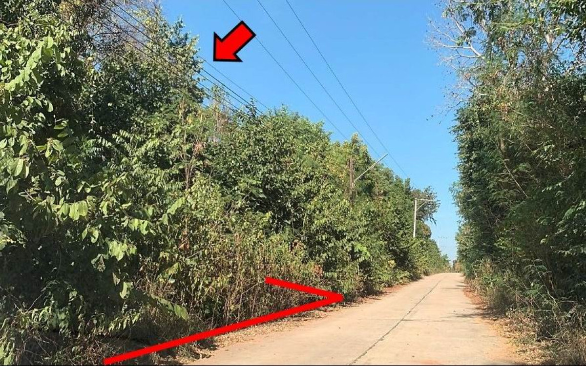 ที่ดินเปล่า ขอนแก่น มัญจาคีรี กุดเค้า 200000