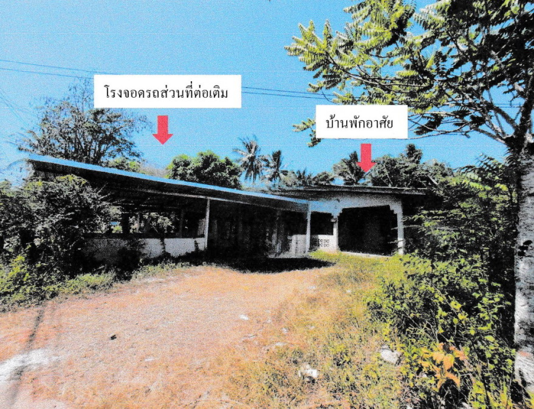 บ้านเดี่ยว ตรัง ย่านตาขาว ทุ่งค่าย 873353