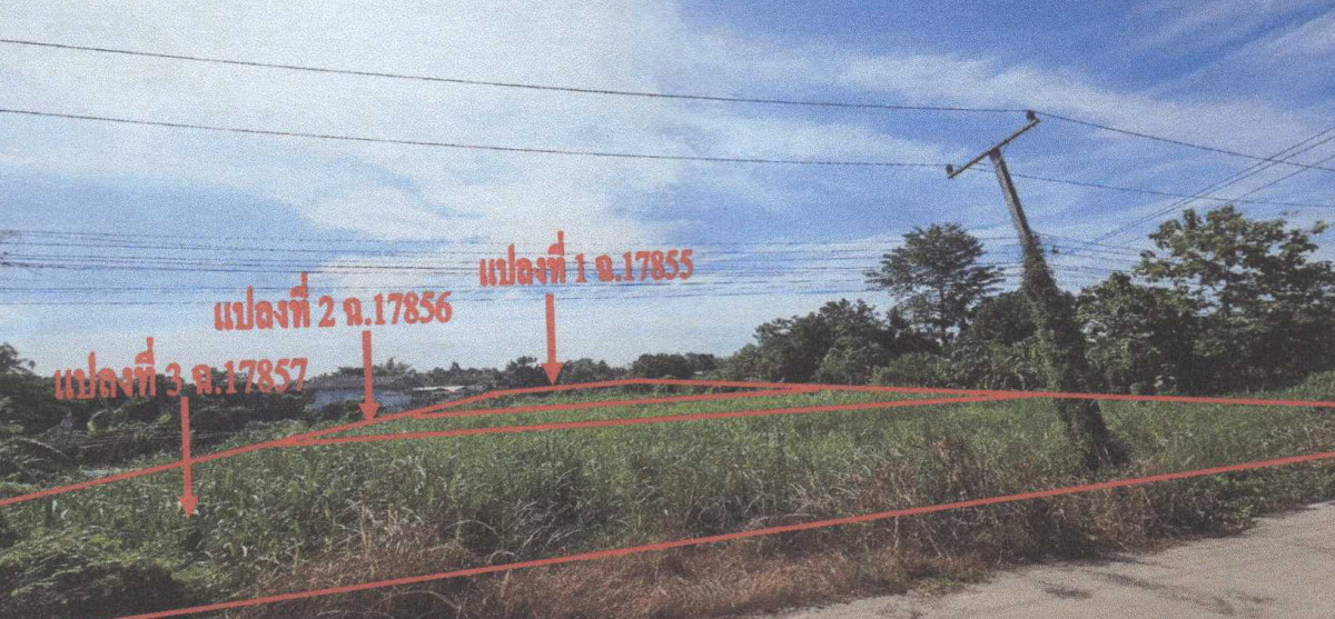 ที่ดินเปล่า นครสวรรค์ ชุมแสง ฆะมัง 242346