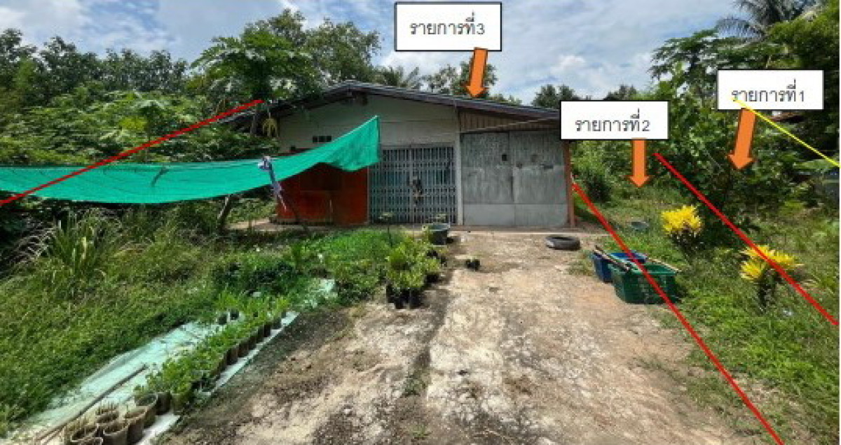 บ้านเดี่ยว พิจิตร เมืองพิจิตร คลองคะเชนทร์ 252600
