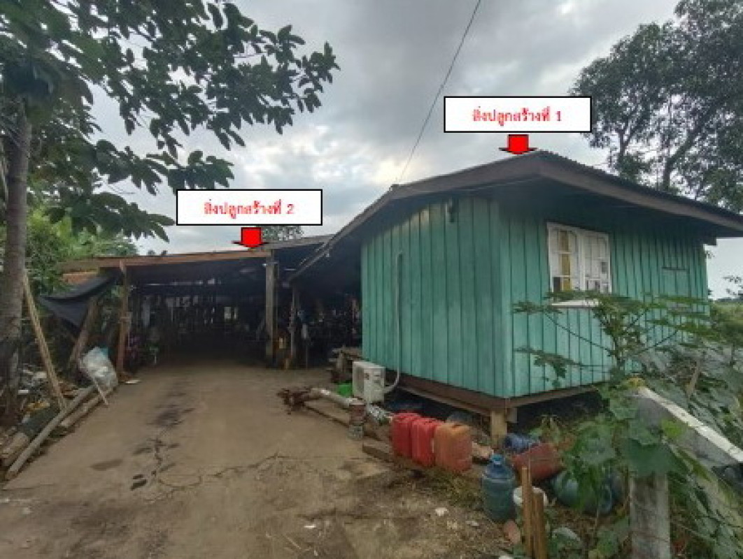 บ้านเดี่ยว พิจิตร ดงเจริญ วังงิ้ว 222500