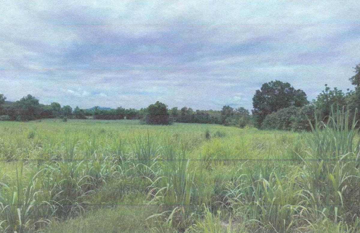 ที่ดินเปล่า เลย วังสะพุง วังสะพุง 1340000