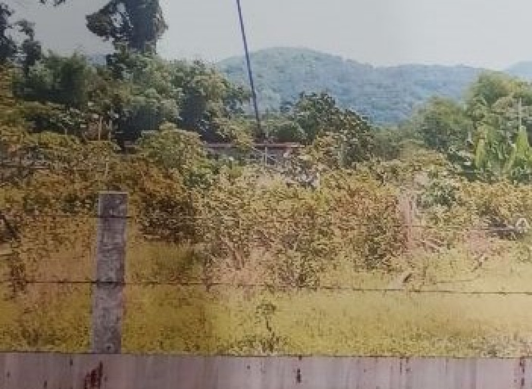 บ้านเดี่ยว สระบุรี แก่งคอย ชะอม 7142174