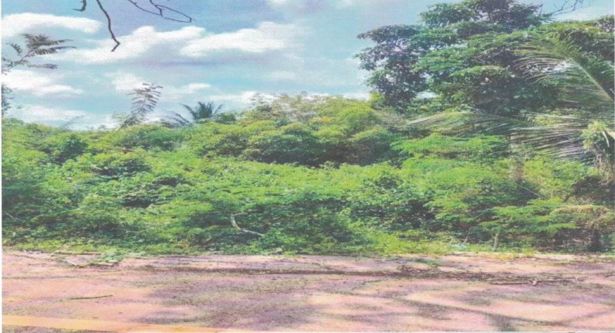 ที่ดินเปล่า ตรัง ปะเหลียน สุโสะ 39480