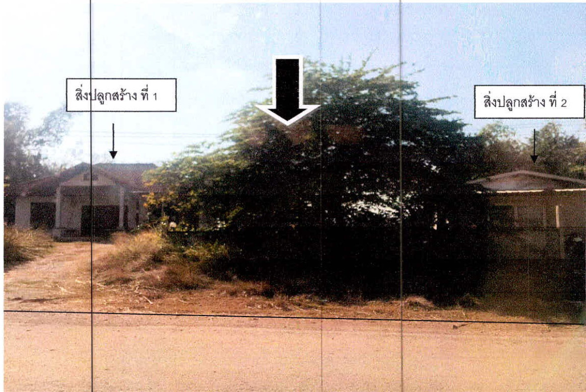 บ้านเดี่ยว เลย วังสะพุง โคกขมิ้น 1259950