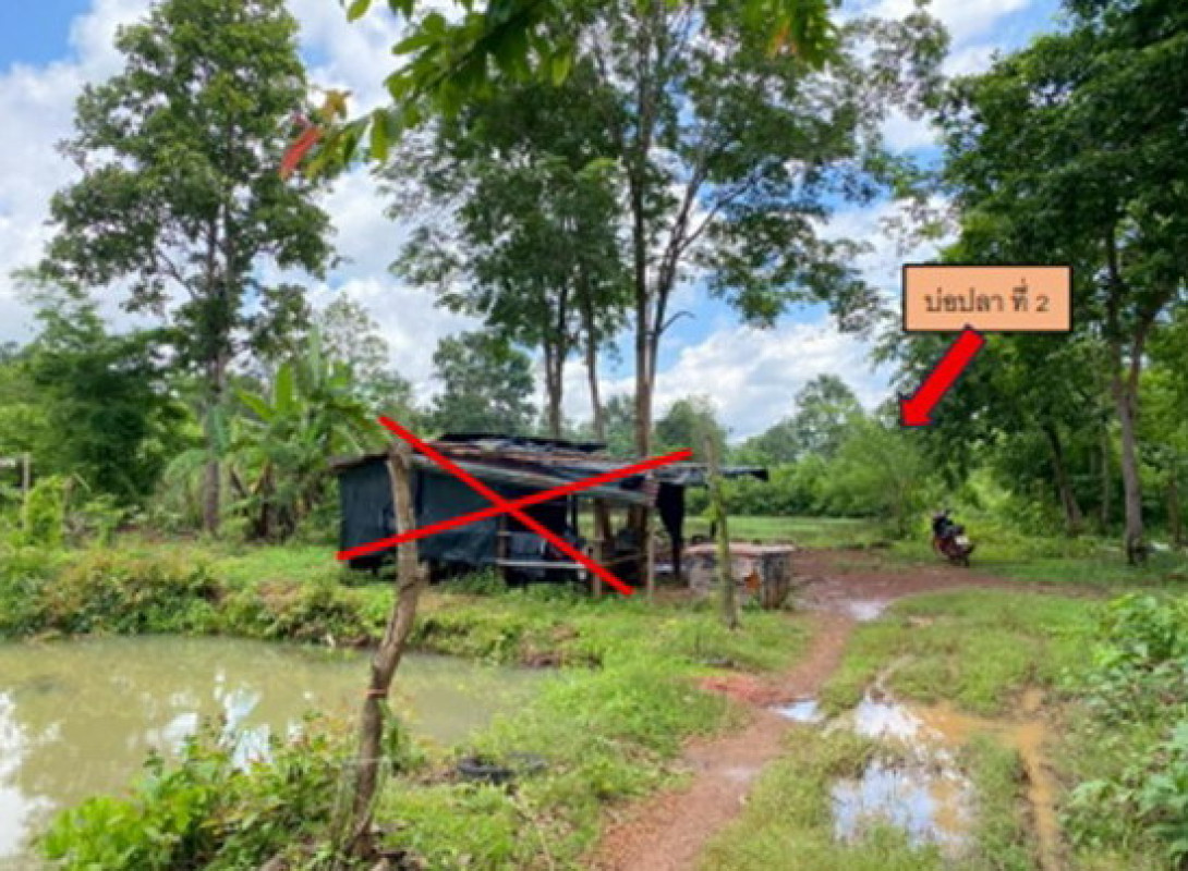 ที่ดินเปล่า นครพนม เมืองนครพนม หนองญาติ 344000