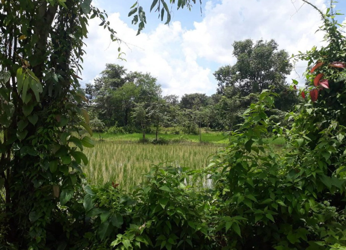 ที่ดินเปล่า นครพนม นาหว้า นางัว 607950