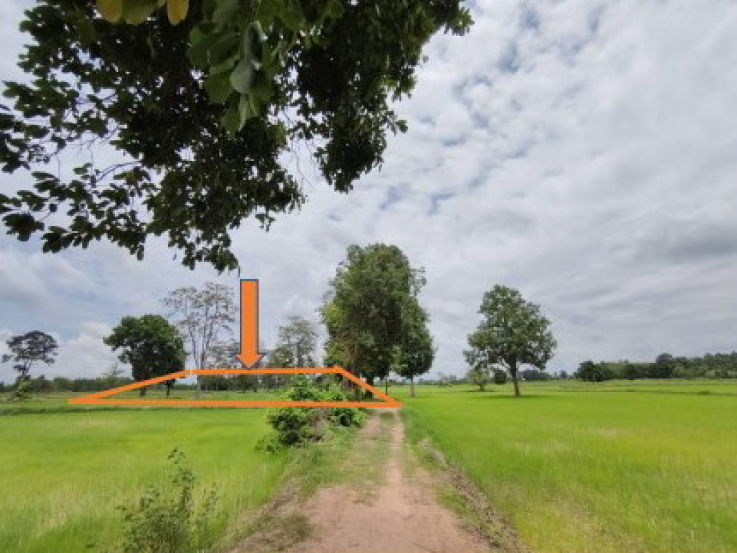 ที่ดินเปล่า กาฬสินธุ์ ร่องคำ เหล่าอ้อย 842400