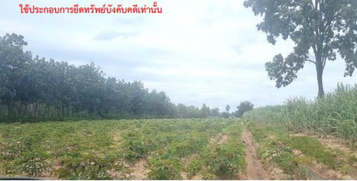 ที่ดินเปล่า กาฬสินธุ์ กุฉินารายณ์ แจนแลน 810000