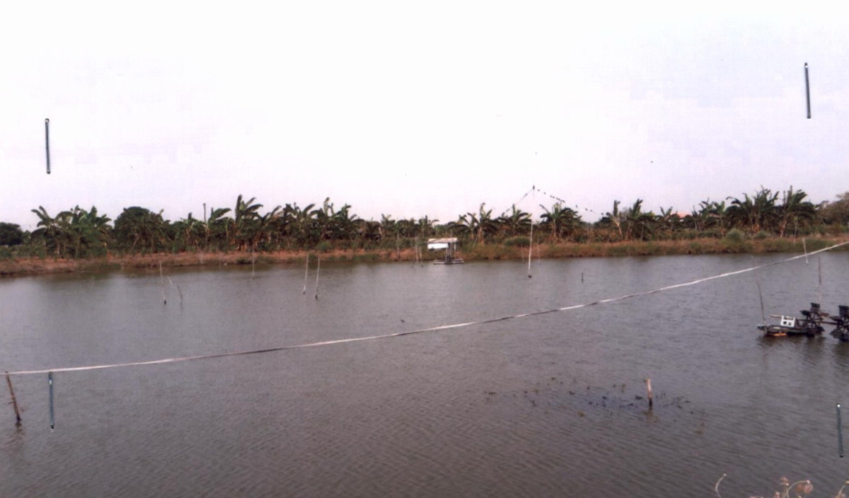 ที่ดินเปล่า สมุทรปราการ บางบ่อ บางเพรียง 9780400