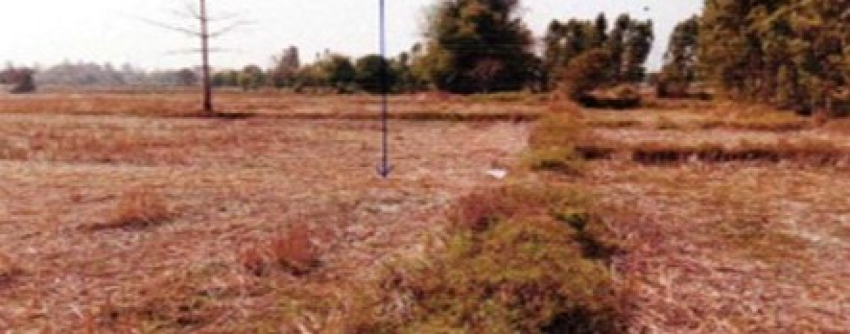 ที่ดินเปล่า ขอนแก่น มัญจาคีรี คำแคน 640800