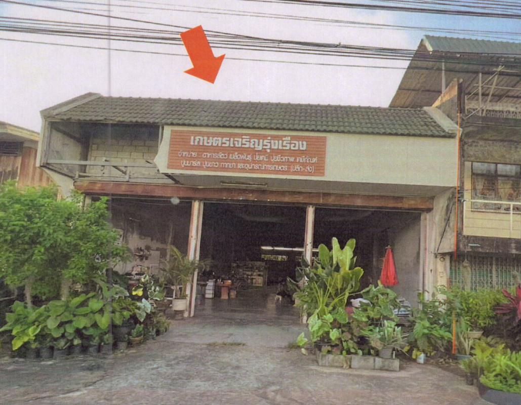 บ้านเดี่ยว สงขลา ระโนด วัดสน 1685000