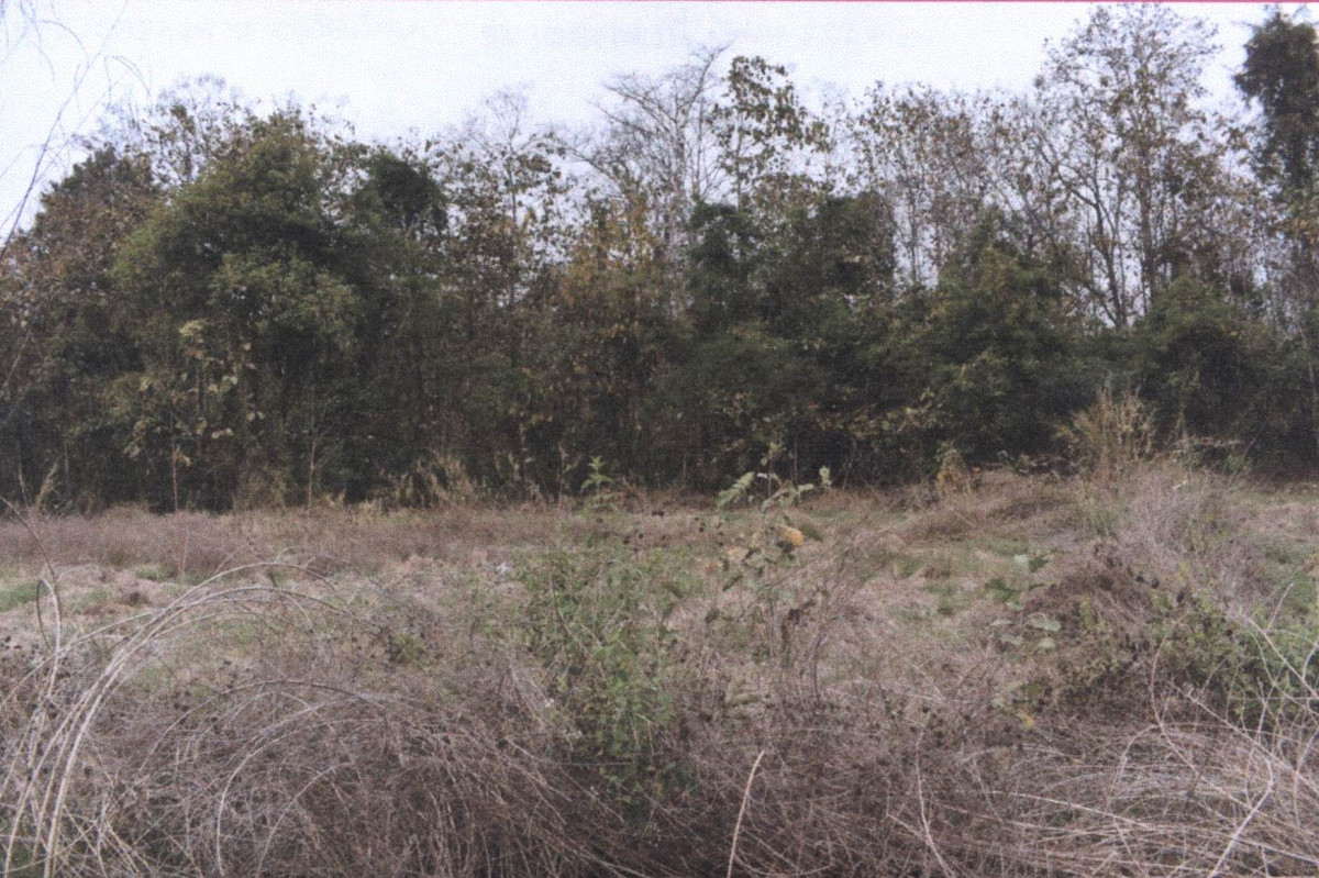 ที่ดินเปล่า ลำปาง เถิน ล้อมแรด 65000