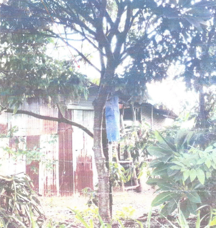 บ้านเดี่ยว ชัยภูมิ จัตุรัส บ้านกอก 182650