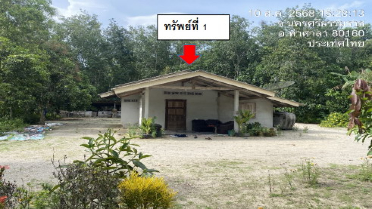 บ้านเดี่ยว นครศรีธรรมราช ท่าศาลา หัวตะพาน 974250