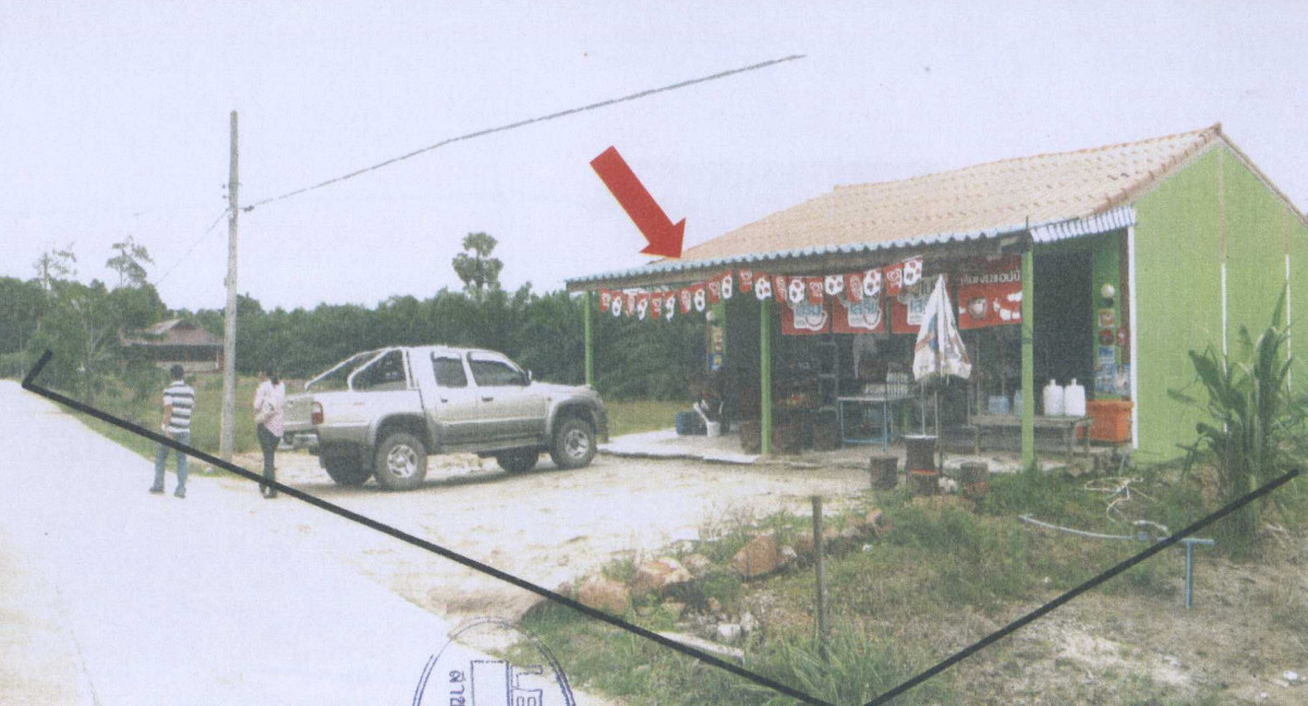 บ้านเดี่ยว สุราษฎร์ธานี บ้านนาเดิม บ้านนา 1106510