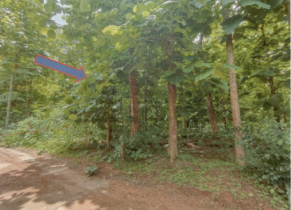 บ้านเดี่ยว ลำปาง เถิน แม่ปะ 256290