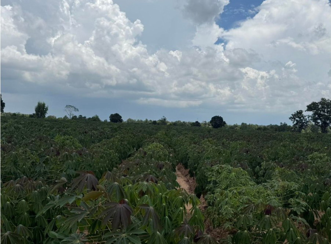 Residential land/lot Khon Kaen Ubolratana Khok Sung 534000