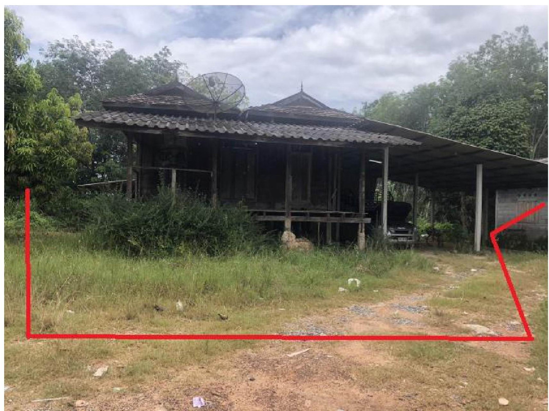 บ้านเดี่ยว ปัตตานี โคกโพธิ์ โคกโพธิ์ 1188460