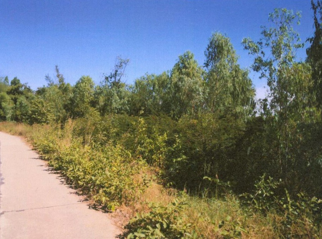 Residential land/lot Roi Et Changhan Muang Lat 181200