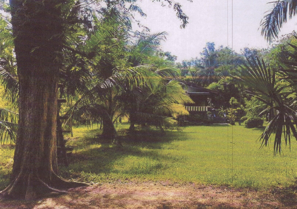 บ้านเดี่ยว สงขลา ระโนด วัดสน 711000