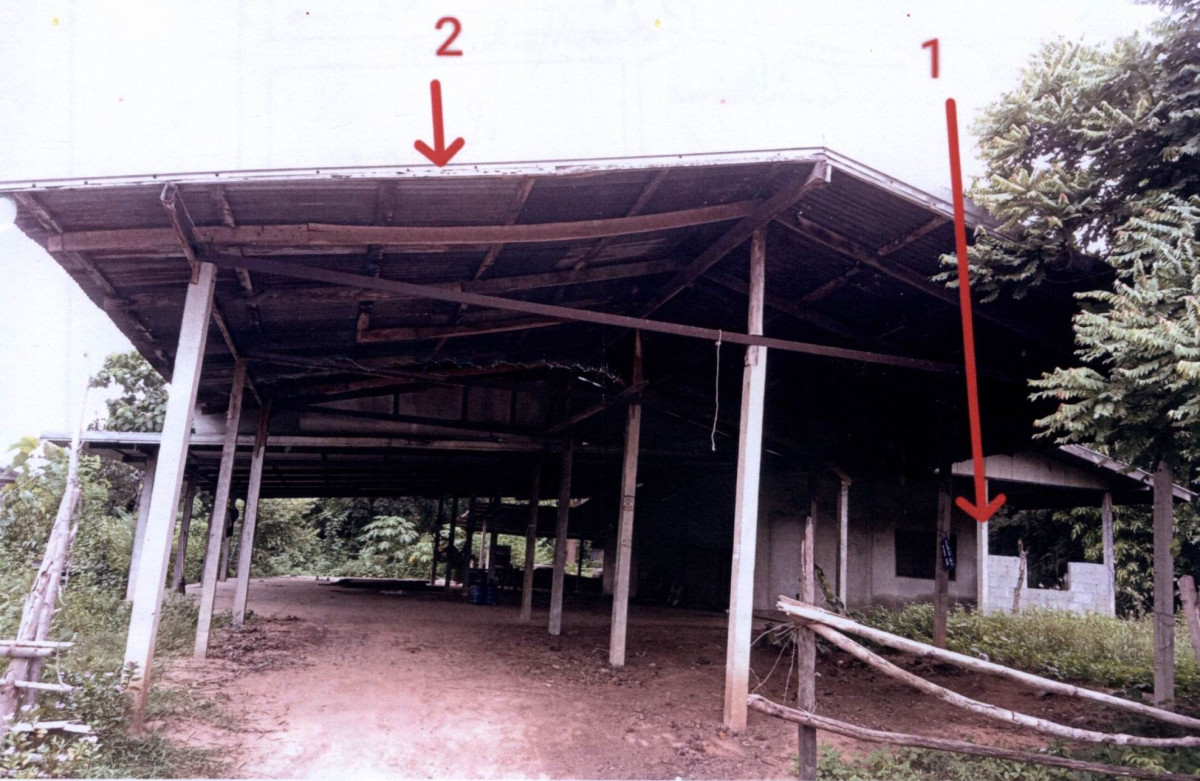 บ้านเดี่ยว สุรินทร์ ชุมพลบุรี นาหนองไผ่ 259560
