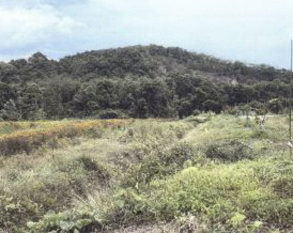 ที่ดินเปล่า สงขลา จะนะ นาทับ 1579760