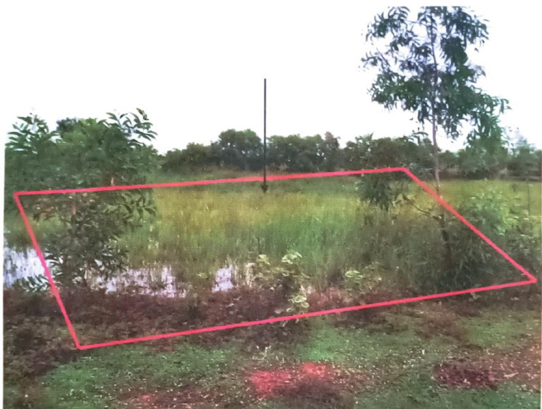 ที่ดินเปล่า นครนายก องครักษ์ ศีรษะกระบือ 60000