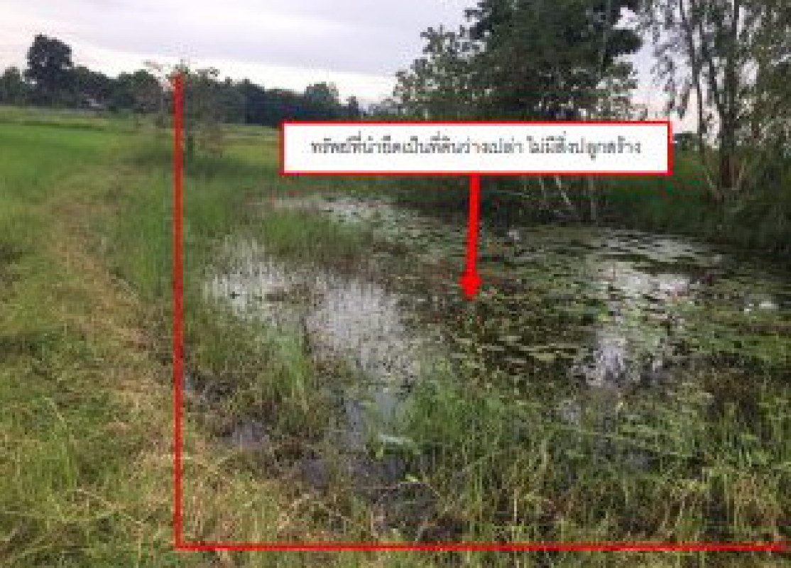 ที่ดินเปล่า ร้อยเอ็ด เมืองร้อยเอ็ด นาโพธิ์ 253500