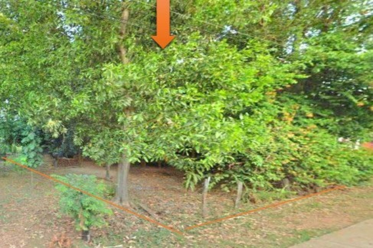 ที่ดินเปล่า กาฬสินธุ์ กุฉินารายณ์ สามขา 27000