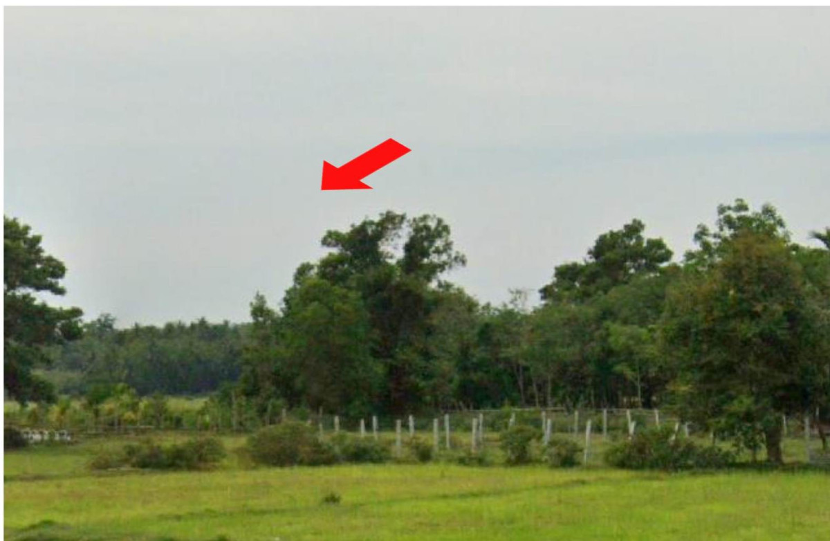 ที่ดินเปล่า ปัตตานี สายบุรี ทุ่งคล้า 91800