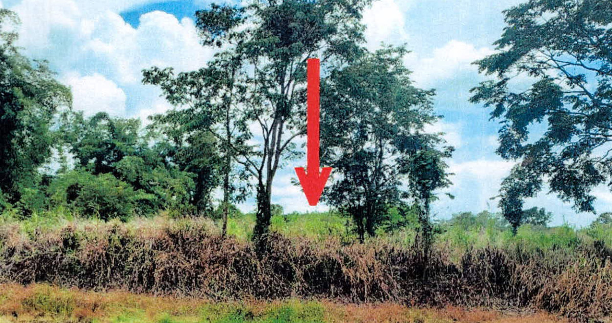 ที่ดินเปล่า ลำปาง เมืองลำปาง บ้านเสด็จ 706940