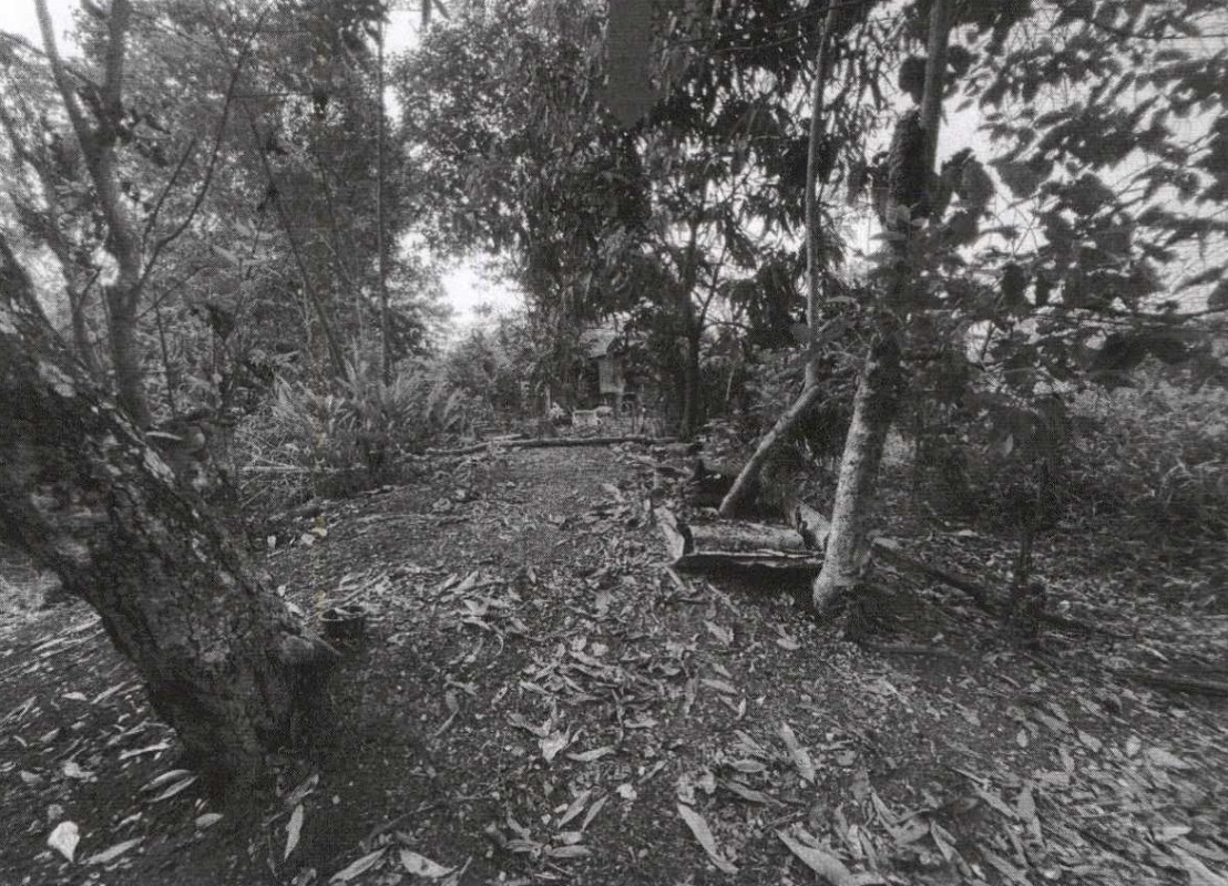 ที่ดินเปล่า สระบุรี หนองแค หนองโรง 30000