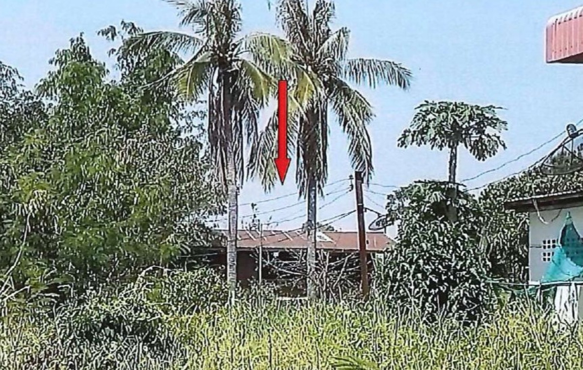 บ้านเดี่ยว พิษณุโลก บางระกำ นิคมพัฒนา 125940