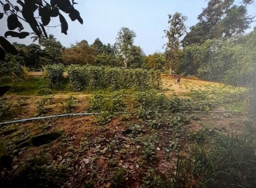 ที่ดินเปล่า อุดรธานี ไชยวาน ไชยวาน 423600