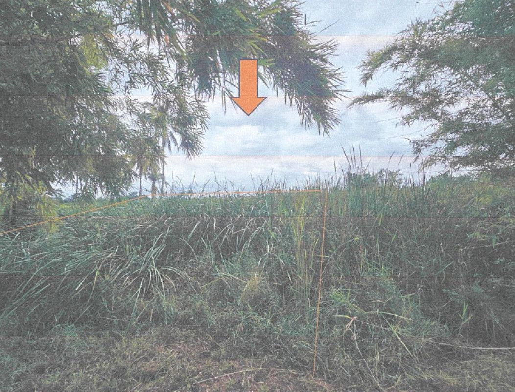 Residential land/lot Nakhon Ratchasima Dan Khun Thot Dan Khun Thot 72800